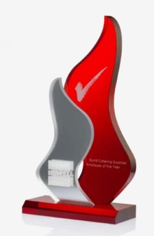 Fire Free Spirit Award 