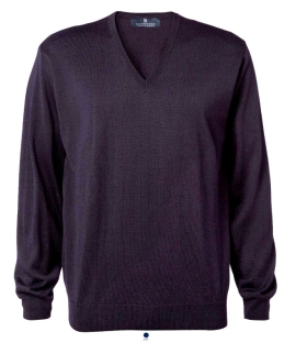Men's V-neck Pullover