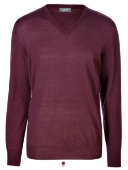 Men's V-neck Pullover