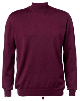 Men's Turtle-neck Pullover
