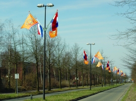 Wall Flags 100x150cm