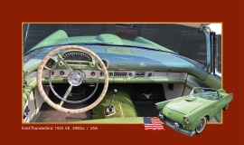 Ford Thunderbird convertible 1955