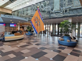 Congresvlag 200x300cm / 215grs. NL